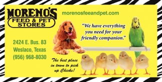 We Have Everything You Need For Your Friendly Companion Moreno s